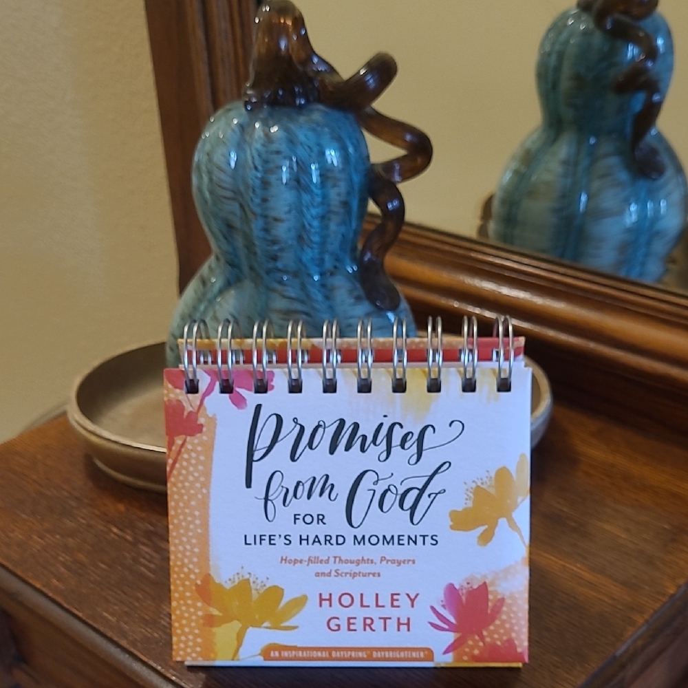 Holley Gerth Inspirational Desk Calendar - Pink and Blue